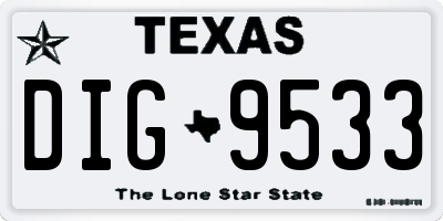 TX license plate DIG9533