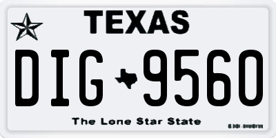 TX license plate DIG9560