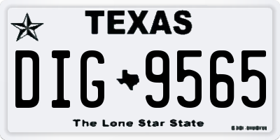 TX license plate DIG9565