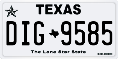 TX license plate DIG9585