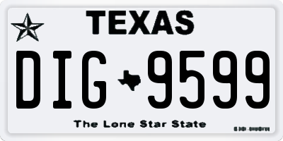 TX license plate DIG9599