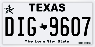 TX license plate DIG9607