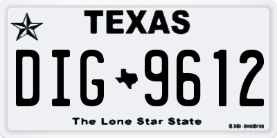 TX license plate DIG9612