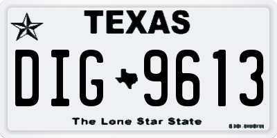 TX license plate DIG9613