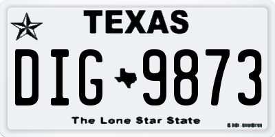 TX license plate DIG9873
