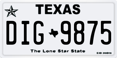 TX license plate DIG9875