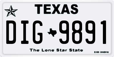 TX license plate DIG9891