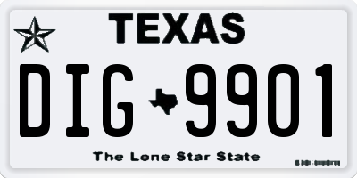 TX license plate DIG9901