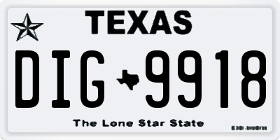 TX license plate DIG9918