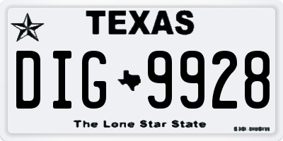 TX license plate DIG9928