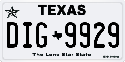 TX license plate DIG9929