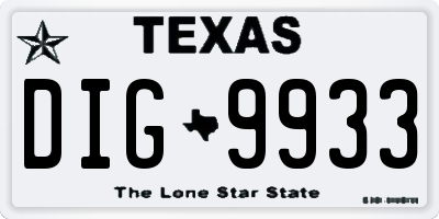 TX license plate DIG9933
