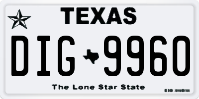 TX license plate DIG9960