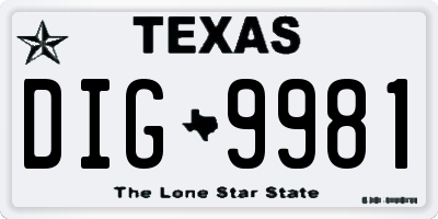 TX license plate DIG9981