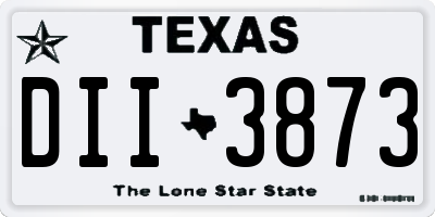 TX license plate DII3873