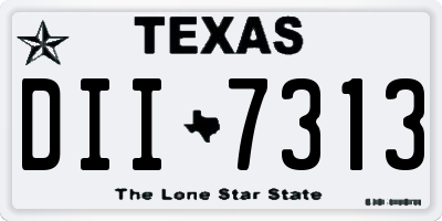 TX license plate DII7313