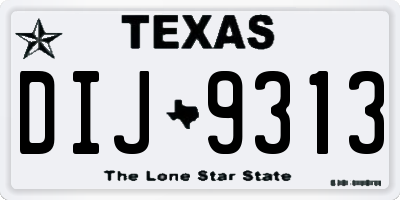 TX license plate DIJ9313