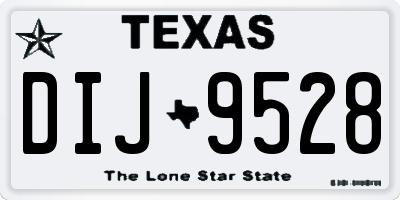 TX license plate DIJ9528