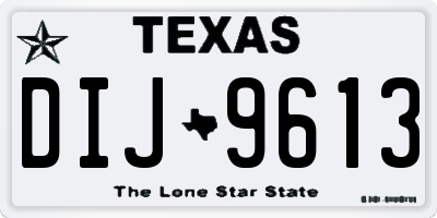 TX license plate DIJ9613