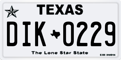 TX license plate DIK0229
