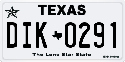 TX license plate DIK0291
