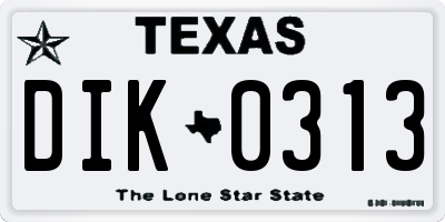 TX license plate DIK0313