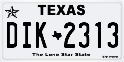 TX license plate DIK2313