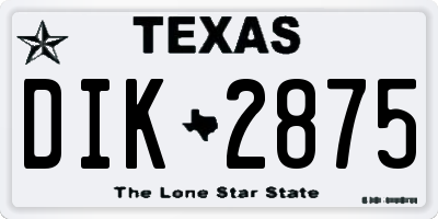TX license plate DIK2875