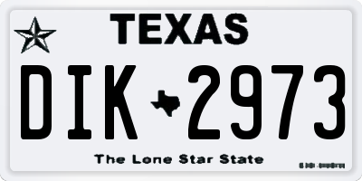 TX license plate DIK2973