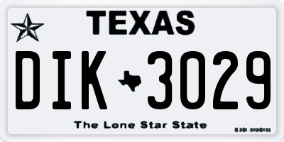 TX license plate DIK3029