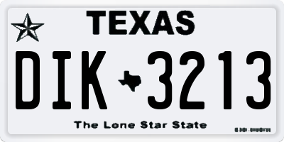 TX license plate DIK3213