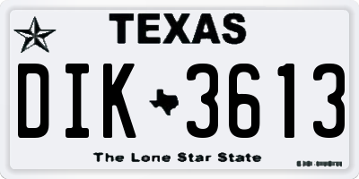 TX license plate DIK3613