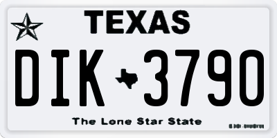 TX license plate DIK3790