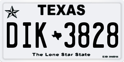 TX license plate DIK3828