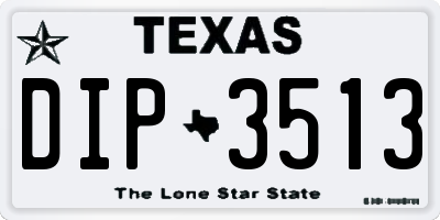 TX license plate DIP3513