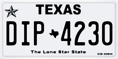 TX license plate DIP4230
