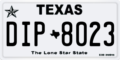 TX license plate DIP8023