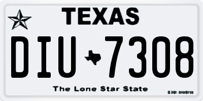 TX license plate DIU7308