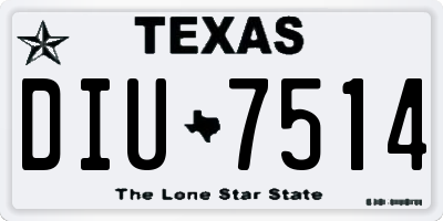 TX license plate DIU7514