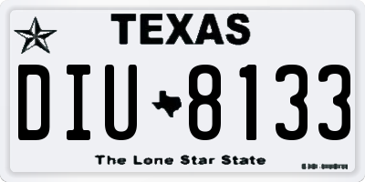 TX license plate DIU8133