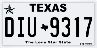TX license plate DIU9317