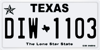 TX license plate DIW1103
