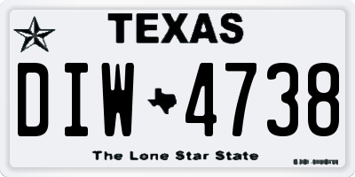 TX license plate DIW4738