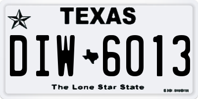 TX license plate DIW6013