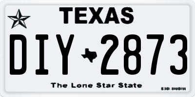 TX license plate DIY2873