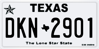 TX license plate DKN2901