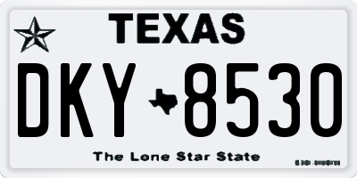 TX license plate DKY8530
