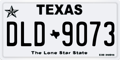 TX license plate DLD9073