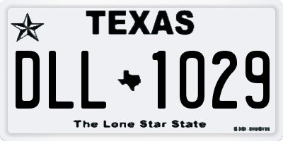 TX license plate DLL1029