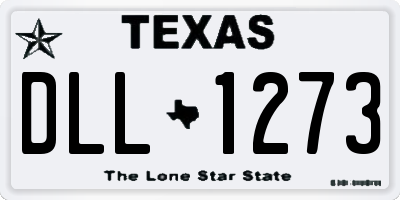 TX license plate DLL1273